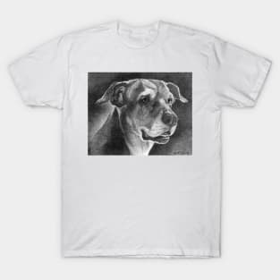 SHELBY T-Shirt